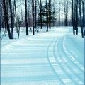 冬季越野滑道 1