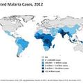 2014瘧疾分佈1