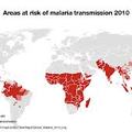 2010瘧疾分佈2