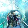 Melbourne Aquarium3