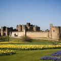 Alnwick Castle2