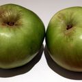 apple  Bramley Apple
