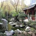 Chinese Garden 1