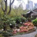 Chinese Garden2