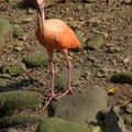 新竹市立動物園