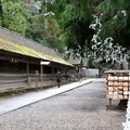 ↓由於「神在月」期間，日本全土諸神幾乎都到出雲大社來集合，所以出雲大社境內有2個名為「十九社」的小殿、分據在本殿東西兩側，這2個十九社便是諸神在出雲大社期間的宿舍