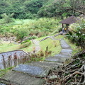 ↓『遠望坑親水公園』有清澈溪水蜿蜒流經，沿著步道漫步原始梯田與溪谷間，只聽見鳥語和潺潺流水的合鳴曲。