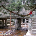 ↓「走井橋」是通向祓殿社的橋。這是每年六月末日、大晦日例行的大祓式、山王祭等的開始儀式必渡的橋