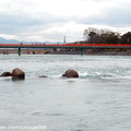 ↓從塔の島眺望朝霧橋 (由橘島連結至對岸) ，後方隱約還可以看到宇治橋