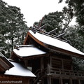 ↓御本殿（県重要文化財指定），與出雲大社相同是典型的「大社造」建造物、方二間(4米餘)、高七間（12米餘）