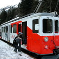 Z 600 EMUs (由法國國鐵SNCF 及瑞士私鐵TMR 共同運行) 