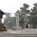 ↓在「出雲大社前」遇上狂風驟雪，這天氣果如「素盞嗚尊」的個性