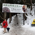 ↓『地獄谷野猿公苑』入口，由此開始是徒歩1.6㎞約25分程的登山步道