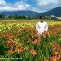 ↓從花田間還可欣賞遠方綿延的山景