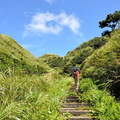 ↓離開無緣之墓，海拔逐漸升高，貂山古道在V形山谷中、往標高500多公尺的北口爬升