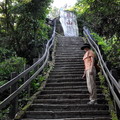 ↓象山步道由「靈雲宮登山口」開始就一路陡升，約半個小時可登上象山石碑