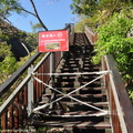 山月吊橋