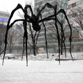 ↓大蜘蛛 (MaMa) 是Louise Bourgeois 的作品，其黑色骨幹在白皚皚的雪地中更顯搶眼  