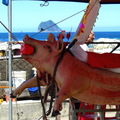 餐廳外頭，外木山海濱正在舉辦中元祭
