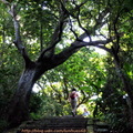 藉由登山步道深入其中，更可以細細探索動植物的生態奧秘境地，一花一葉一世界，紅塵的紛擾早已遠拋在腦後
