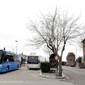 大巴士只能開到城東的馬特歐提廣場 (Piazza Matteotti )，要進入市中心可在此換乘行駛於城區的循環小巴士。其實市區並不大，建議可以徒步的方式
