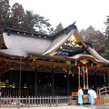 本殿以黑色漆為基調，内外豪華的金箔、胡粉彩色塗漆，彫刻、金具等精緻裝飾，充滿絢爛華麗的雰圍，是桃山建築的傑作，為日本指定的國寶