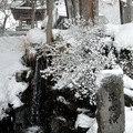 ↓四下無生機，只見寺前的「洗心滝」殘喘著，似乎隨時會凍結