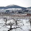 ↓火車才出市區、往東北山區前進(估計是在飯綱高原附近)，窗外一片片的蘋果園在綿延雪地裡閃過，背景是北信五岳的飯綱山(1917m）