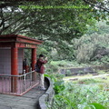 ↓福德祠前居高臨下，是眺望公園與田園的最佳展望台