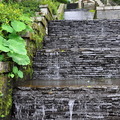 ↓「水梯」是民國78年籌畫，於82年完工，為本山莊特殊造景。水梯的水即明池湖的水源，來自桃園縣的三光溪，依其地形引入明池湖