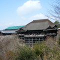 日本 清水寺