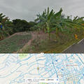 Google街景攝影山腰上的小玫瑰蕉園2