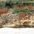 17.2002年，永州市為保護文化遺產，炸掉水壩，按照柳宗元所寫的「從小丘西行百二十步」找到小石潭