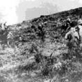1947年5月，中共陳毅粟裕共軍10多萬兵力在十餘萬民兵和民工支援下，圍攻堅守孟良崮的蔣中正王牌精銳整編74師2
