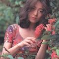 50歲歌后中森明菜在80年代風靡亞洲，和松田聖子並列昭和2大歌姬