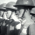1949年8月，白崇禧指揮鐵血桂軍，在湖南青樹坪大敗林彪共軍，幾乎全殲林彪「虎賁師」，毛澤東震怒
