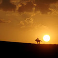 126.古道西風瘦馬，夕陽西下，斷腸人在天涯