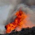 126.野火  美加州發生森林大火，險波及學校民宅