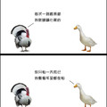 美國火雞遇到臺灣鴨子