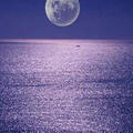 126.月光戀愛著海洋，海洋戀愛著月光