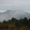觀霧專區