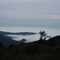 觀霧專區
