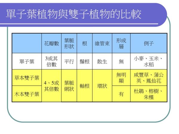 植物的分類與介紹 就愛大自然 Udn部落格