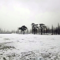 南京涵碧樓雪景真的太美了
