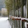 南京涵碧樓雪景真的太美了