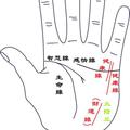 手相學（一）手掌 -健康線-1