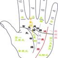手相學（一）手掌 -健康線-2