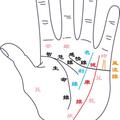 手相學（一）手掌 -健康線-3