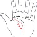手掌 -生命線 - 川字掌-1