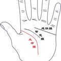 手掌 -生命線 - 川字掌-2